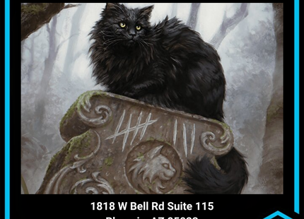 NPHX - 10/17 @ 12pm - MTG Catfight