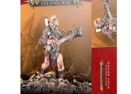 Gamers Guild AZ Age of Sigmar Warhammer Age of Sigmar: Sons of Behemat - King Brodd Games-Workshop