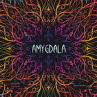 Gamers Guild AZ Amygdala Gamers Guild AZ