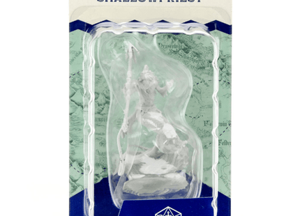 Gamers Guild AZ Critical Role WZK90375 Critical Role Minis: Wave 1 - Shallowpriest Southern Hobby