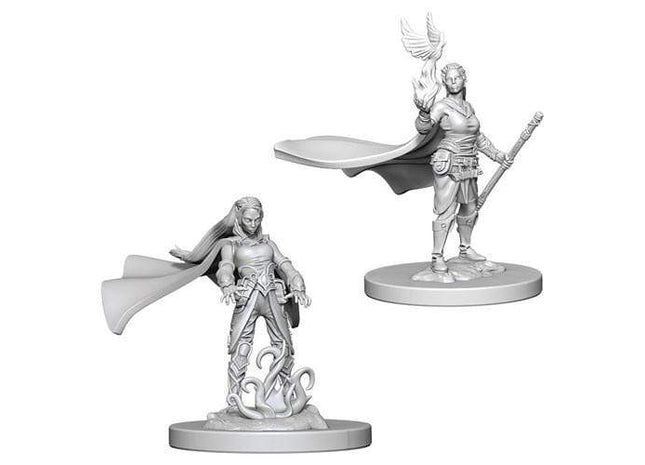 Gamers Guild AZ Dungeons & Dragons WZK72642 D&D Minis: Wave 4- Elf Female Druid Southern Hobby