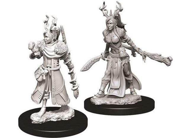 Gamers Guild AZ Dungeons & Dragons WZK73701 D&D Minis: Wave 9- Female Human Druid Southern Hobby