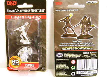 Gamers Guild AZ Dungeons & Dragons WZK73830 D&D Minis: Wave 10- Female Human Paladin Southern Hobby