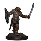 Gamers Guild AZ Dungeons & Dragons WZK93006 D&D Icons of the Realms: Premium Set 2- Dragonborn Female Paladin Southern Hobby