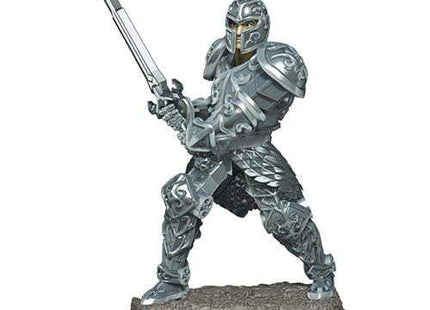 Gamers Guild AZ Dungeons & Dragons WZK93017 D&D Icons of the Realms: Premium Set 3-Male Human Fighter Southern Hobby