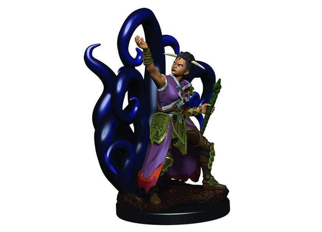 Gamers Guild AZ Dungeons & Dragons WZK93018 D&D Icons of the Realms: Premium Set 3- Female Human Warlock Southern Hobby