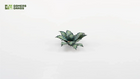 Gamers Guild AZ GamersGrass GamersGrass: Laser Plants - Blue Agave GamersGrass