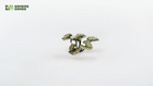 Gamers Guild AZ GamersGrass GamersGrass: Laser Plants - Bugloss GamersGrass