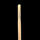 Gamers Guild AZ Ghost Brush Ghost Brush - Ghost 2D Ghost Brush