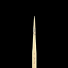 Gamers Guild AZ Ghost Brush Ghost Brush - Ghostiny A Ghost Brush