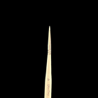 Gamers Guild AZ Ghost Brush Ghost Brush - Ghostiny B Ghost Brush