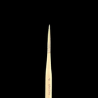 Gamers Guild AZ Ghost Brush Ghost Brush - Ghostiny D Ghost Brush
