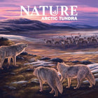 Gamers Guild AZ North Star Games Nature: Arctic Tundra Module Expansion (Pre-Order) AGD
