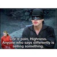 Gamers Guild AZ Novelties Magnet: Princess Bride Pain Is Life Ata-Boy Inc