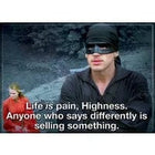 Gamers Guild AZ Novelties Magnet: Princess Bride Pain Is Life Ata-Boy Inc