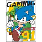 Gamers Guild AZ Novelties Magnet: Sonic Gaming Since 91 Ata-Boy Inc