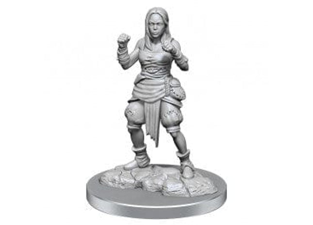 Gamers Guild AZ Pathfinder Pathfinder Battles: Deep Cuts- Half-Elf Monk Female Southern Hobby