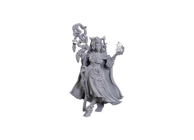 Gamers Guild AZ Pathfinder WIZ90722 Pathfinder Minis: Fearne Calloway And Mister (Pre-Order) GTS