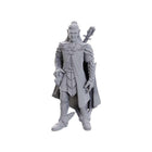 Gamers Guild AZ Pathfinder WIZ90723 Pathfinder Minis:  Dorian Storm (Pre-Order) GTS