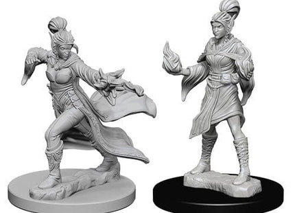 Gamers Guild AZ Pathfinder WZK72606 Pathfinder Minis: Deep Cuts Wave 1- Elf Female Sorcerer AGD
