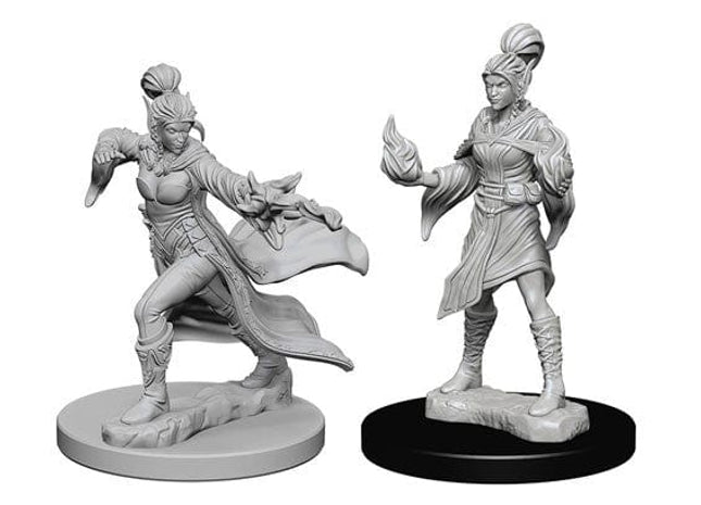 Gamers Guild AZ Pathfinder WZK72606 Pathfinder Minis: Deep Cuts Wave 1- Elf Female Sorcerer AGD