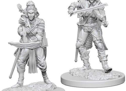 Gamers Guild AZ Pathfinder WZK72611 Pathfinder Minis: Deep Cuts Wave 4- Elf Female Bard Southern Hobby