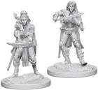 Gamers Guild AZ Pathfinder WZK72611 Pathfinder Minis: Deep Cuts Wave 4- Elf Female Bard Southern Hobby