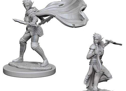 Gamers Guild AZ Pathfinder WZK73187 Pathfinder Minis: Deep Cuts Wave 4- Elf Female Rogue Southern Hobby