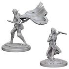 Gamers Guild AZ Pathfinder WZK73187 Pathfinder Minis: Deep Cuts Wave 4- Elf Female Rogue Southern Hobby