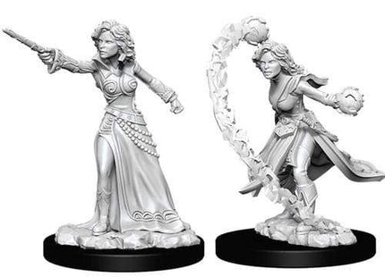 Gamers Guild AZ Pathfinder WZK73412 Pathfinder Minis: Deep Cuts Wave 6- Female Human Wizard Southern Hobby