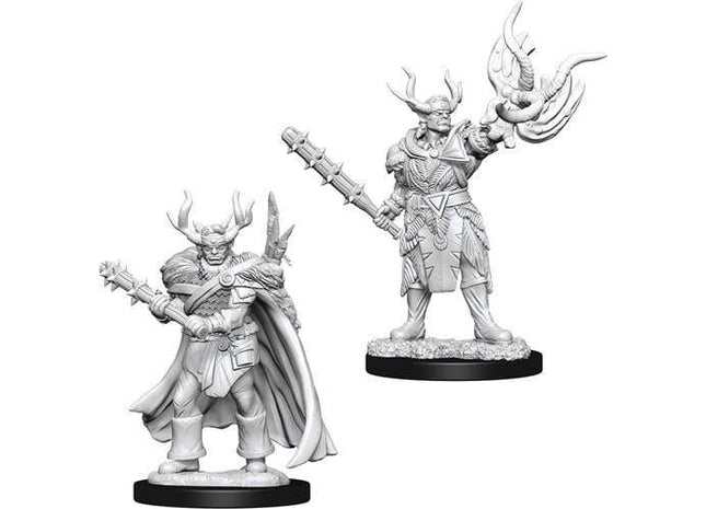 Gamers Guild AZ Pathfinder WZK73853 Pathfinder Minis: Deep Cuts Wave 10- Male Half-Orc Druid Southern Hobby
