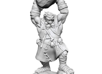 Gamers Guild AZ Pathfinder WZK90041 Pathfinder Minis: Deep Cuts Wave 11- Ogre Southern Hobby