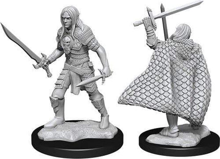 Gamers Guild AZ Pathfinder WZK90169 Pathfinder Minis: Wave 13 - Elf Fighter Male Southern Hobby