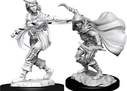 Gamers Guild AZ Pathfinder WZK90269 Pathfinder Minis: Deepcuts Wave 14- Human Rogue Female Southern Hobby