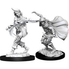 Gamers Guild AZ Pathfinder WZK90269 Pathfinder Minis: Deepcuts Wave 14- Human Rogue Female Southern Hobby