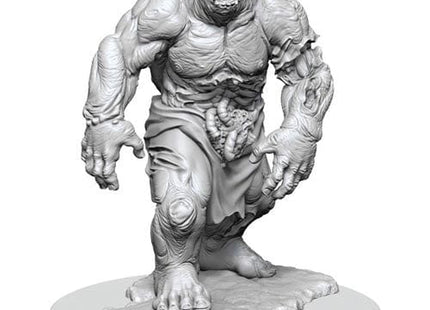 Gamers Guild AZ Pathfinder WZK90449 Pathfinder Minis: Wave 16 - Zombie Hulk Southern Hobby