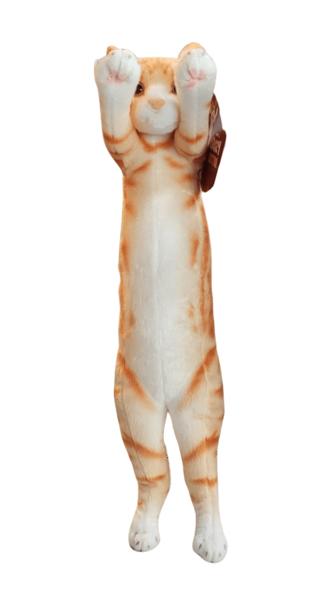 Crazy Kitten 20'' Standing Cat Plush – Gamers Guild AZ