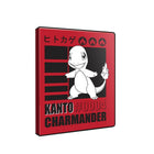 Gamers Guild AZ Ultra Pro Ultra Pro: Pokemon: Charmander 4-Pocket Pro-Binder Pokemon GTS
