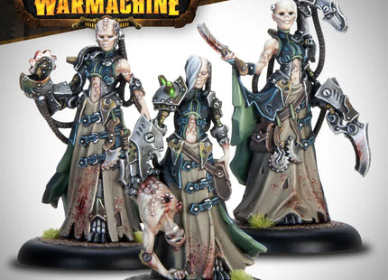 Gamers Guild AZ Warmachine Warmachine: Cryx Necrofactorium Army Box – Wraithbinder's Host (Pre-Order) AGD