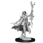 Gamers Guild AZ WizKids D&D Frameworks - Human Druid (Female) GTS