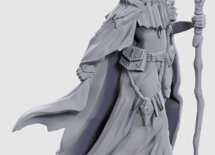 Gamers Guild AZ WizKids D&D Nolzur's Marvelous Miniatures: Limited Edition 50th Anniversary - Elves AGD