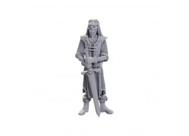Gamers Guild AZ WizKids D&D Nolzur's Marvelous Miniatures: Limited Edition 50th Anniversary - Skeleton Knights Southern Hobby