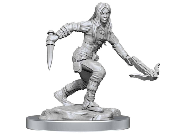 Gamers Guild AZ WizKids D&D Nolzur's Marvelous Miniatures: W17 Female Half-Elf Rogue GTS