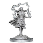 Gamers Guild AZ WizKids Dungeons And Dragons Nolzur's Marvelous Miniatures: W21 Dark Spellcaster And Flameskulls GTS