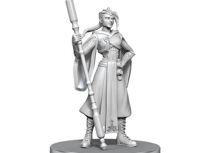 Gamers Guild AZ WizKids Dungeons & Dragons: Critical Role Unpainted Miniatures - Beauregard Lionett & Caleb Widogast (Pre-Order) AGD