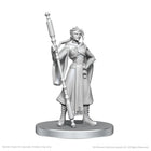 Gamers Guild AZ WizKids Dungeons & Dragons: Critical Role Unpainted Miniatures - Beauregard Lionett & Caleb Widogast (Pre-Order) AGD