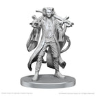 Gamers Guild AZ WizKids Dungeons & Dragons: Critical Role Unpainted Miniatures - Mollymauk Tealeaf & Caduceus Clay (Pre-Order) AGD