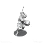 Gamers Guild AZ WizKids Dungeons & Dragons: Nolzur's Marvelous Unpainted Miniatures - B'rohg (Pre-Order) AGD