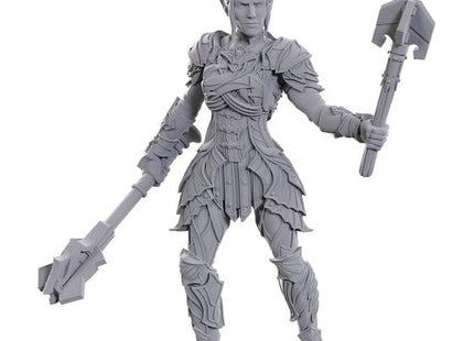 Gamers Guild AZ WizKids Dungeons & Dragons: Nolzur's Marvelous Unpainted Miniatures - Special BG3 Edition: Dame Aylin & Minthara (Pre-Order) AGD