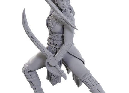Gamers Guild AZ WizKids Dungeons & Dragons: Nolzur's Marvelous Unpainted Miniatures - Special BG3 Edition: Jaheira & Halsin (Pre-Order) AGD